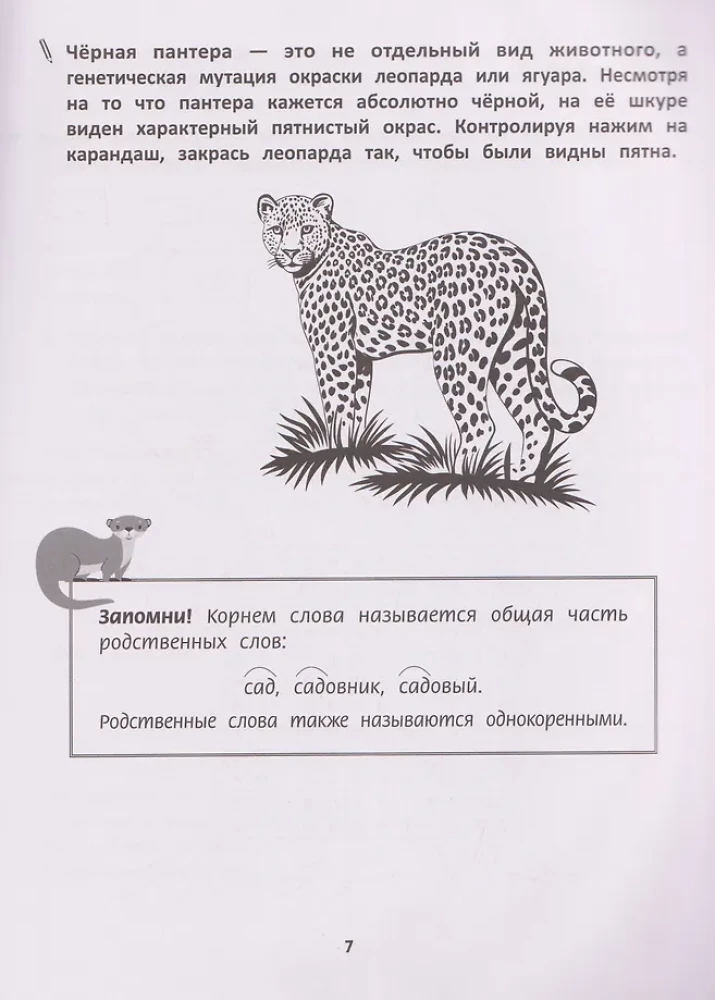 Racionāla rakstīšana. Ortogrāfijas prasmju attīstība. 3. klase
