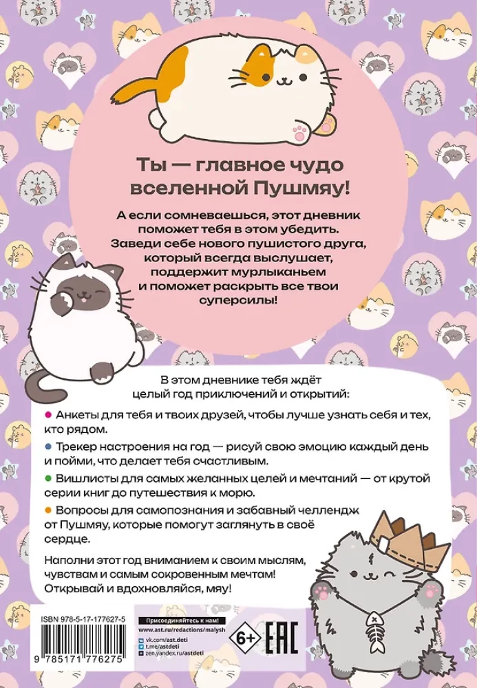 Miau-Momente Pushmiau: Tagebuch für Inspiration