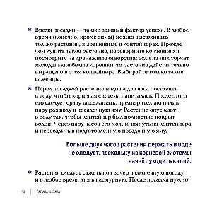 Inspirujące kwietniki. Jak stworzyć harmonijne kompozycje, które łatwo pielęgnować