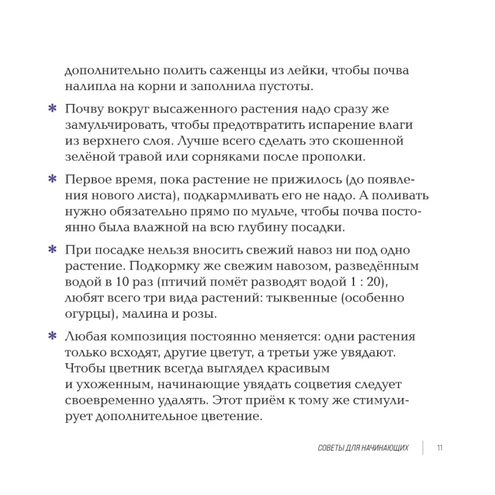 Inspirujące kwietniki. Jak stworzyć harmonijne kompozycje, które łatwo pielęgnować
