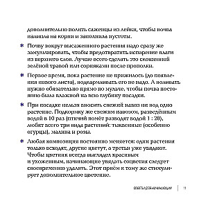 Inspirujące kwietniki. Jak stworzyć harmonijne kompozycje, które łatwo pielęgnować
