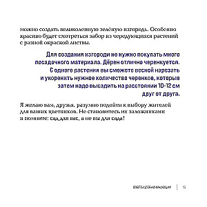 Inspirujące kwietniki. Jak stworzyć harmonijne kompozycje, które łatwo pielęgnować