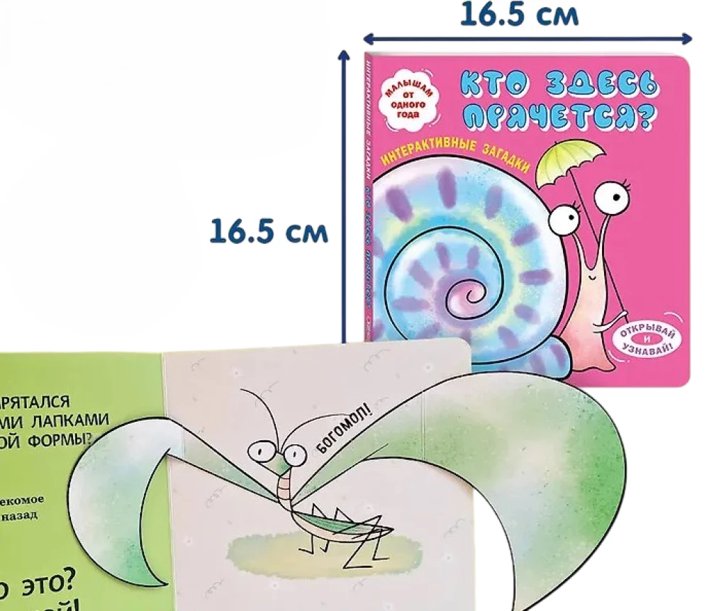 Interaktive Rätsel. Wer versteckt sich hier? (Schnecke)