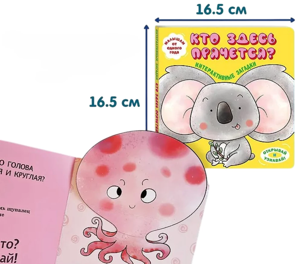 Interaktywne zagadki. Kto się tutaj chowa? (koala)