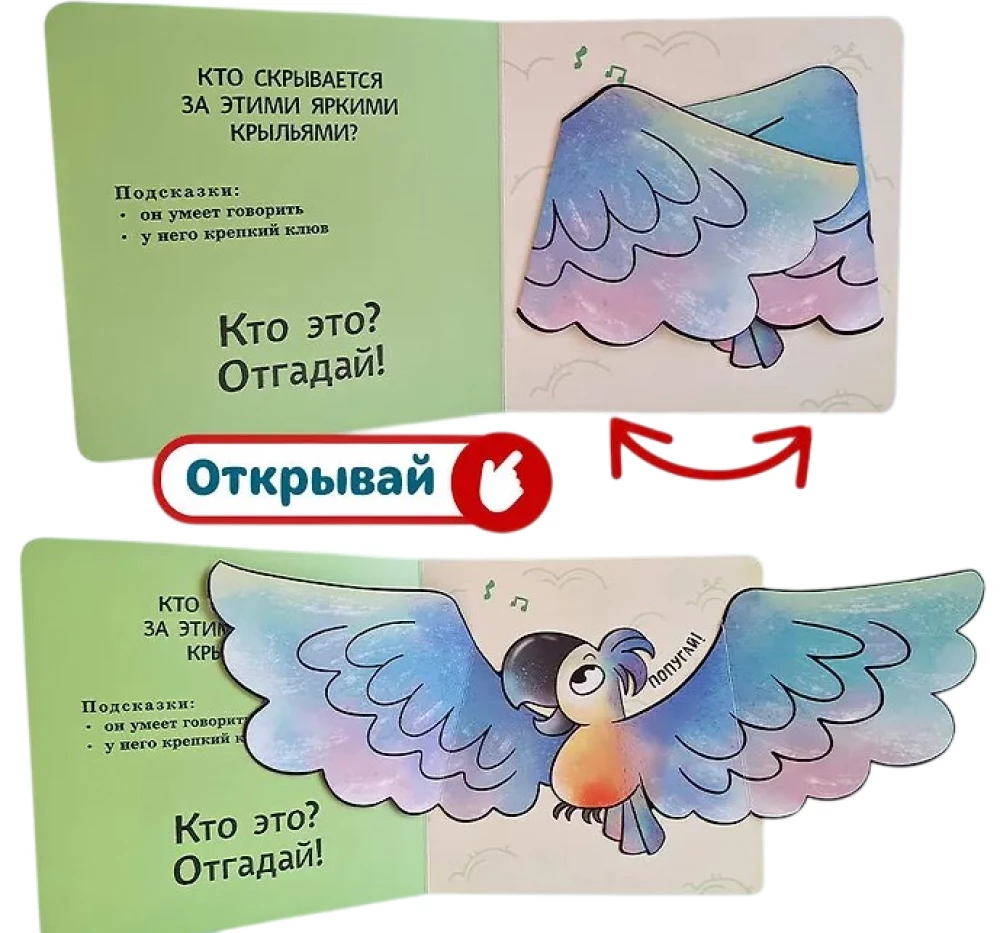 Interaktywne zagadki. Kto się tutaj chowa? (koala)