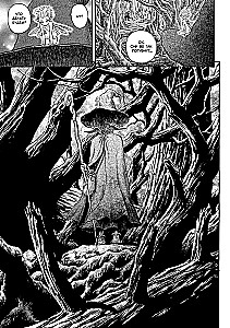 Berserk. 12. sējums