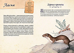 Magische Tiere. Legenden und Aberglauben