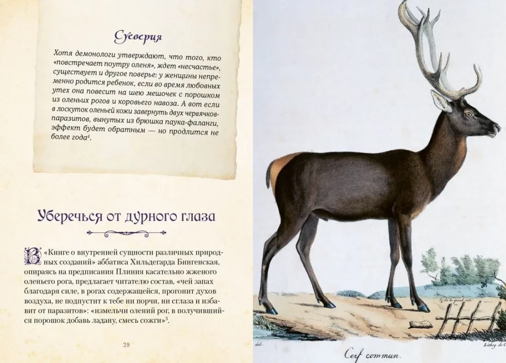 Magische Tiere. Legenden und Aberglauben