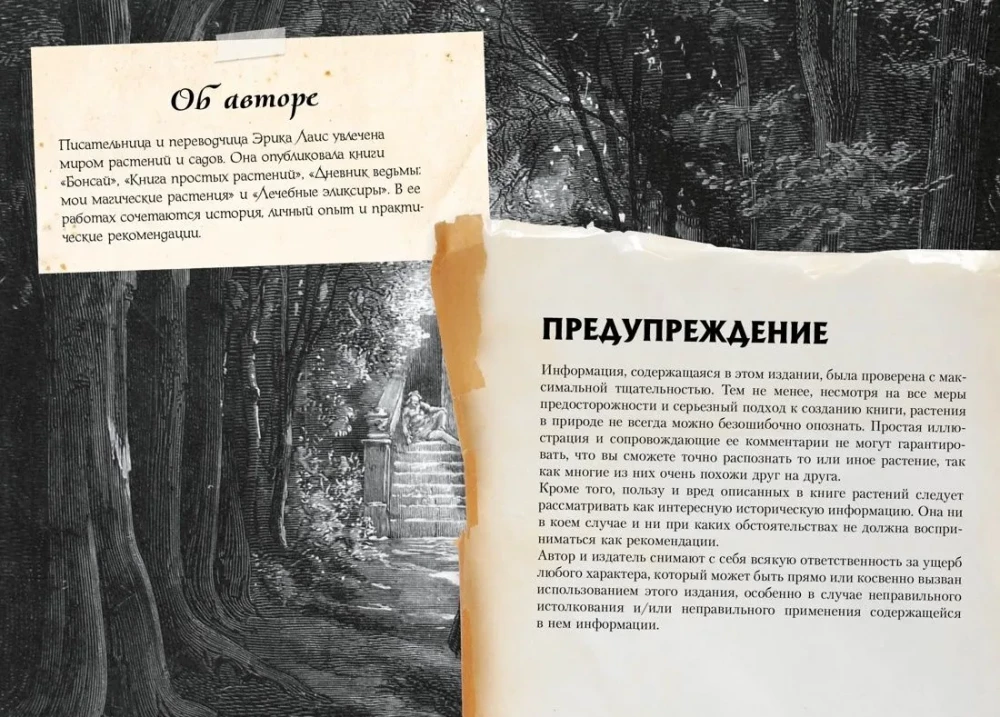 Mały grimoar wiedźmy. Eliksiry i magiczne zioła