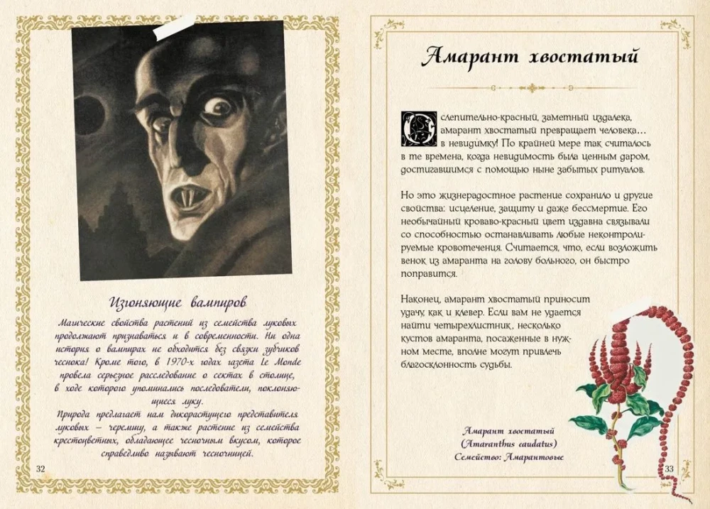Mały grimoar wiedźmy. Eliksiry i magiczne zioła
