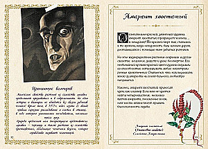 Mały grimoar wiedźmy. Eliksiry i magiczne zioła