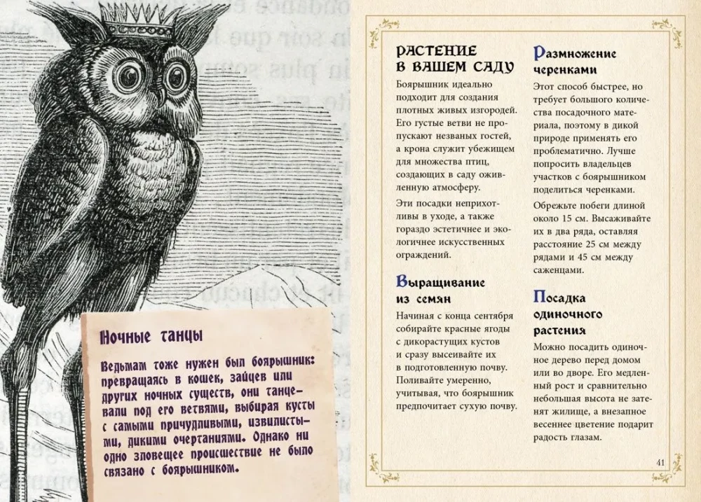Mały grimoar wiedźmy. Eliksiry i magiczne zioła