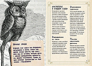 Mały grimoar wiedźmy. Eliksiry i magiczne zioła