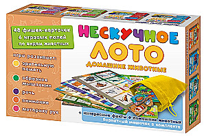 Fun Lotto - Pets