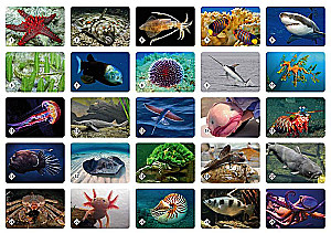 Board game - Memo. Underwater World