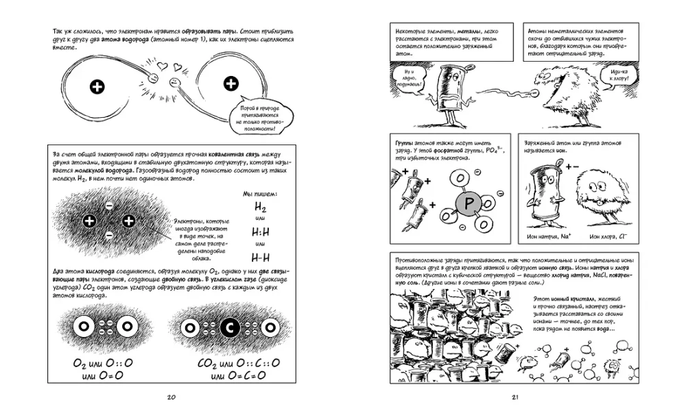 Biologie. Ein kurzer Kurs in Comics