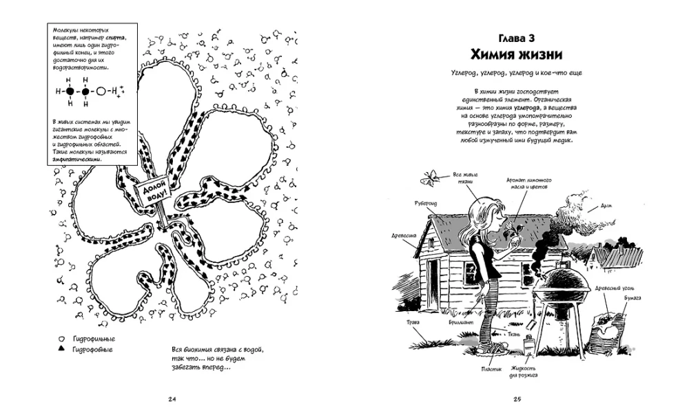 Biologie. Ein kurzer Kurs in Comics
