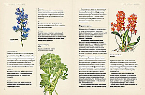 Botanika sodininkams