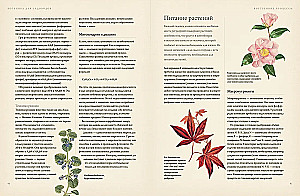 Botanika sodininkams