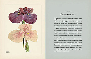 Botanika sodininkams