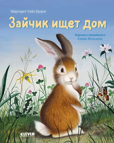 Kiškis ieško namų