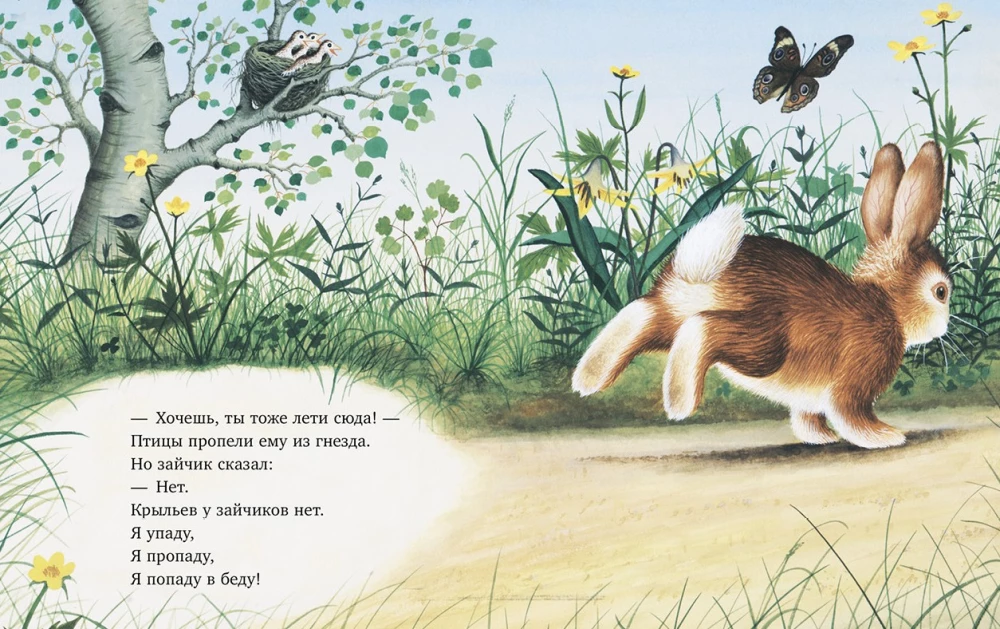 Zaika meklē māju