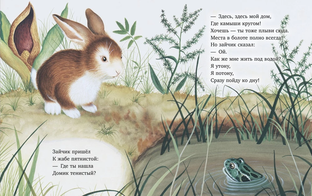 Zaika meklē māju
