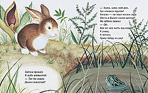 Zaika meklē māju