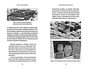 Признания египтолога. Утраченные библиотеки, исчезнувшие лабиринты и неожиданная правда под сводами
