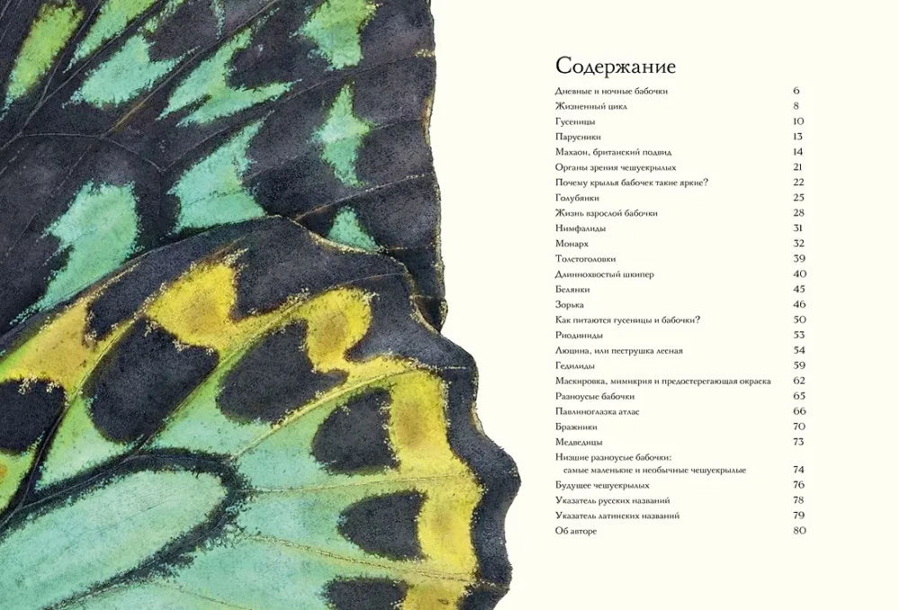 Paslaptingas drugelių pasaulis