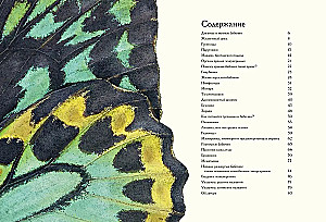 Paslaptingas drugelių pasaulis