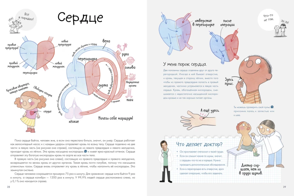 Secrets of the Human Body