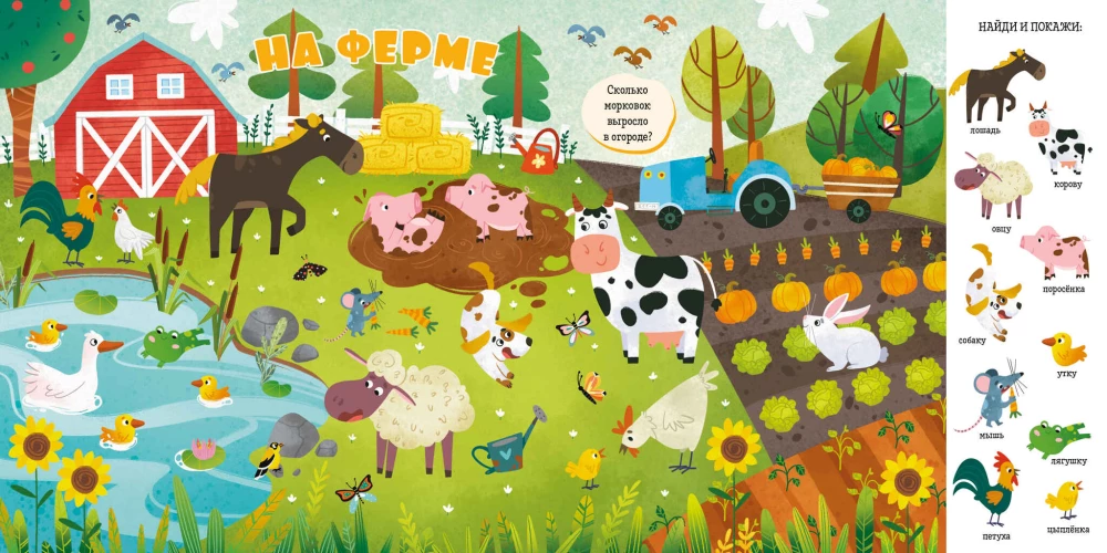 Animals