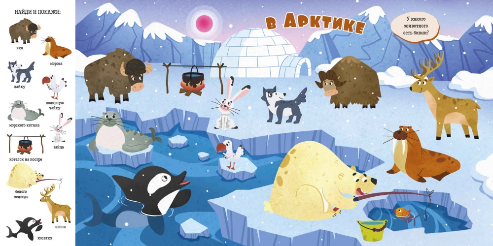 Animals
