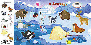 Animals