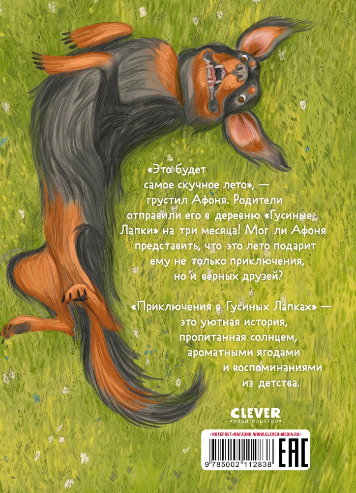 Nuotykiai Gaidžių Kojose