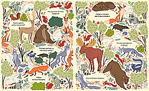 Find and Show. In the Animal World