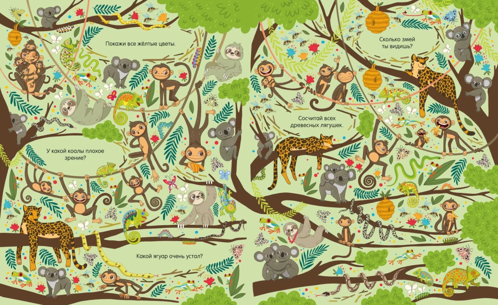 Find and Show. In the Animal World