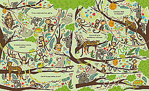 Find and Show. In the Animal World