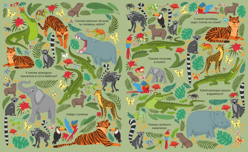 Find and Show. In the Animal World