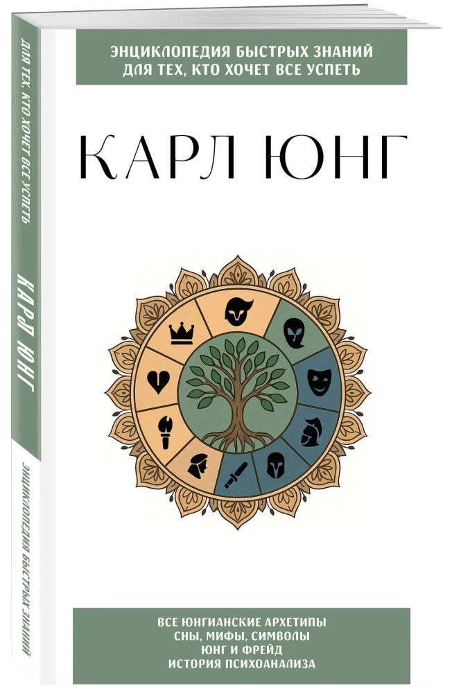 Carl Jung. Dla tych, którzy chcą zrobić wszystko