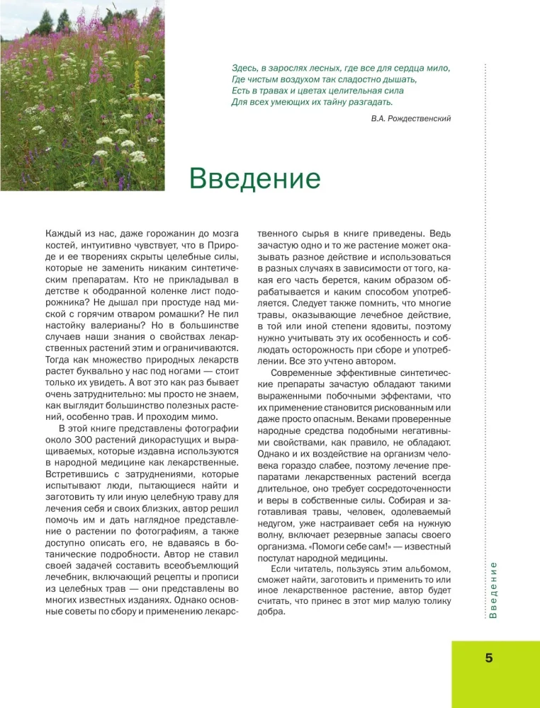 Medicinal Plants. Large Illustrated Encyclopedia
