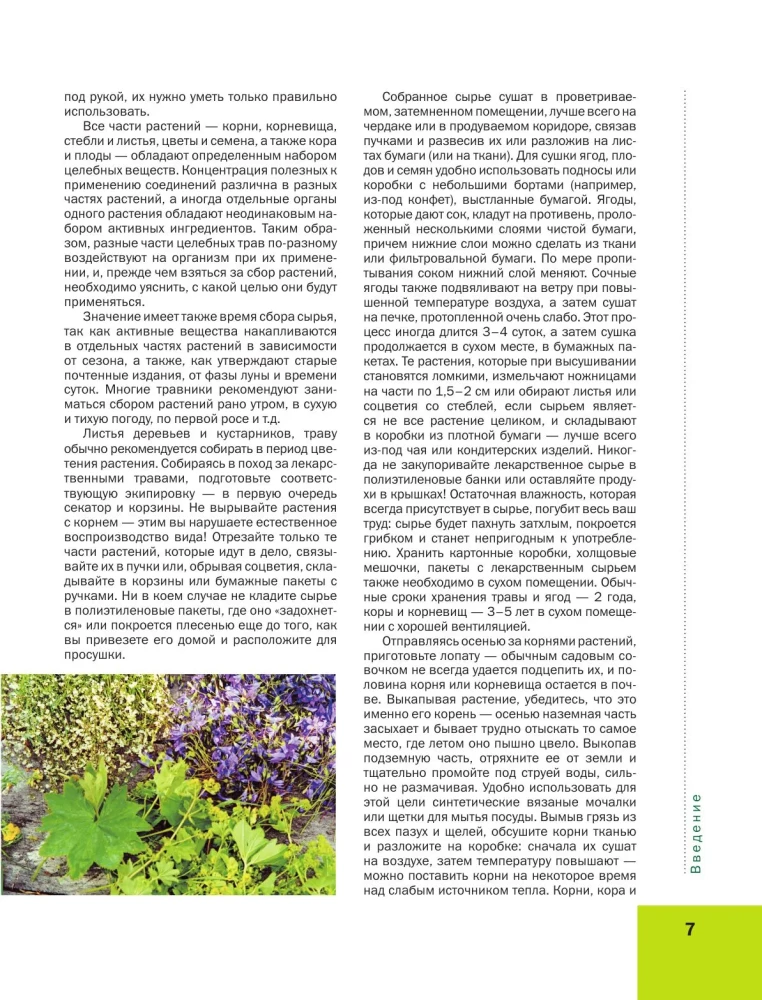 Medicinal Plants. Large Illustrated Encyclopedia