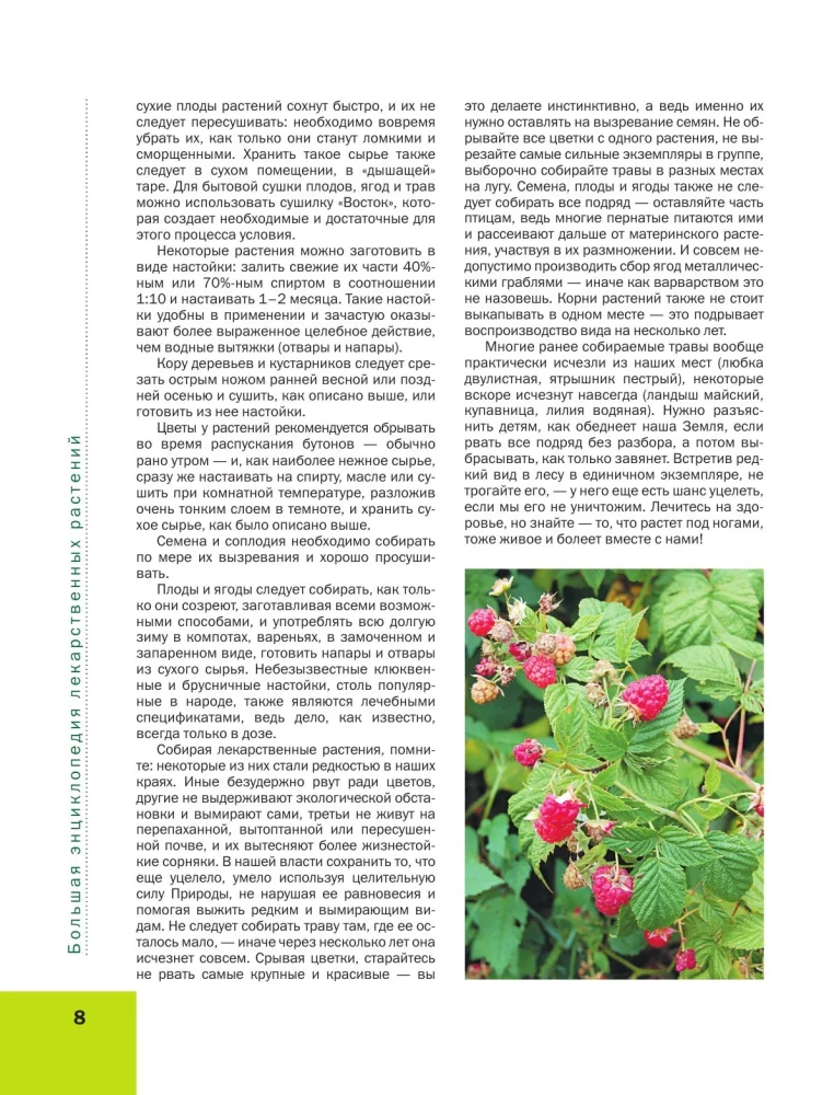 Medicinal Plants. Large Illustrated Encyclopedia