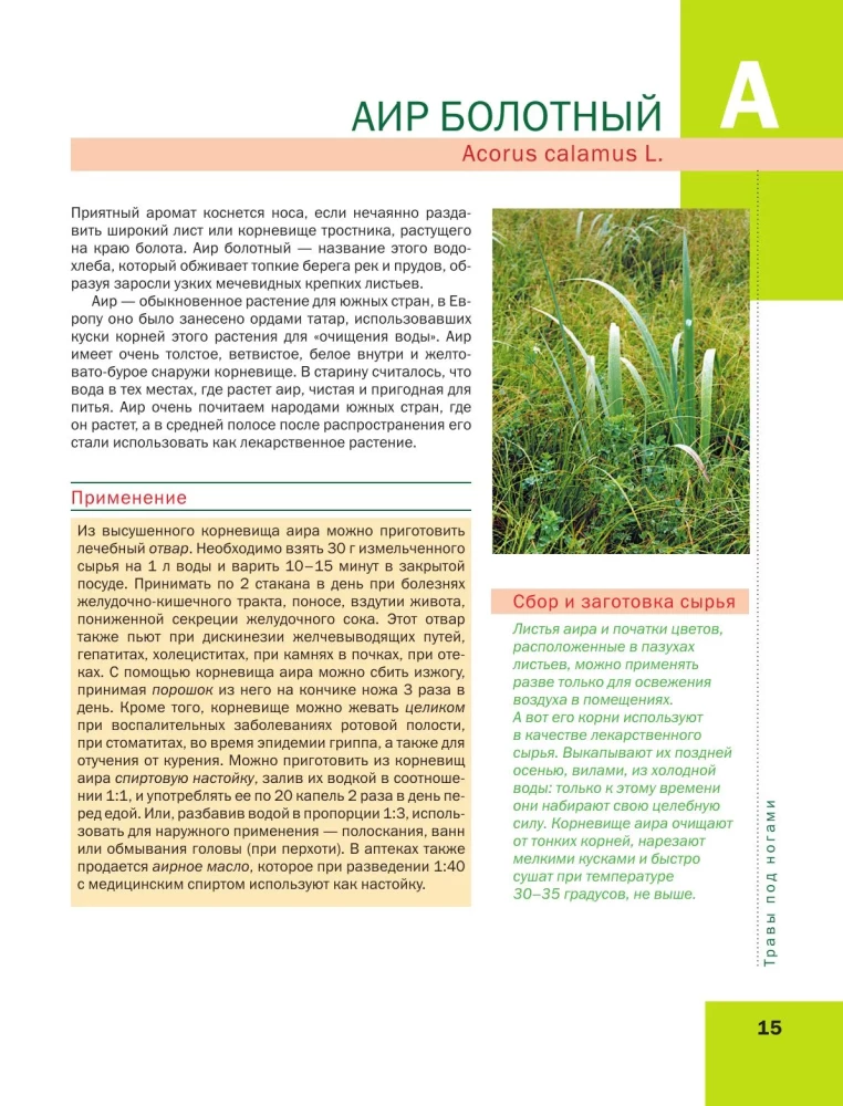 Medicinal Plants. Large Illustrated Encyclopedia