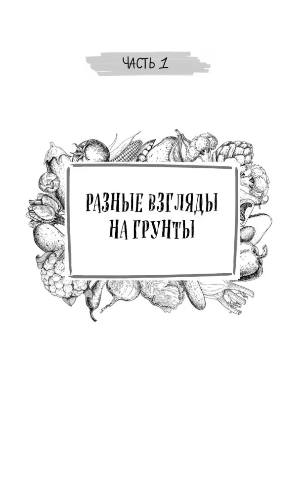 Дачный участок с умным подходом. С чего начать и как организовать участок без ошибок