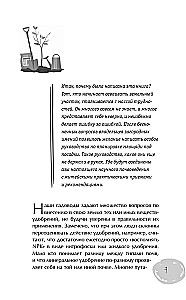 Дачный участок с умным подходом. С чего начать и как организовать участок без ошибок