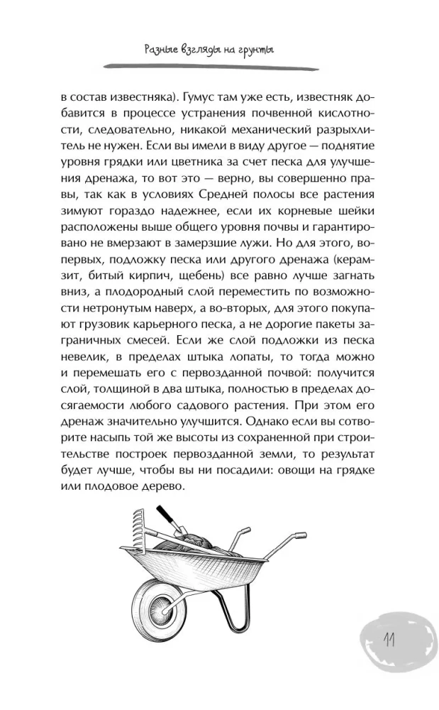 Дачный участок с умным подходом. С чего начать и как организовать участок без ошибок