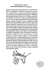 Дачный участок с умным подходом. С чего начать и как организовать участок без ошибок