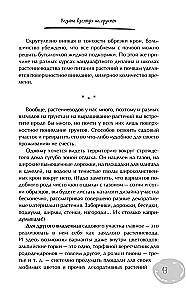 Дачный участок с умным подходом. С чего начать и как организовать участок без ошибок